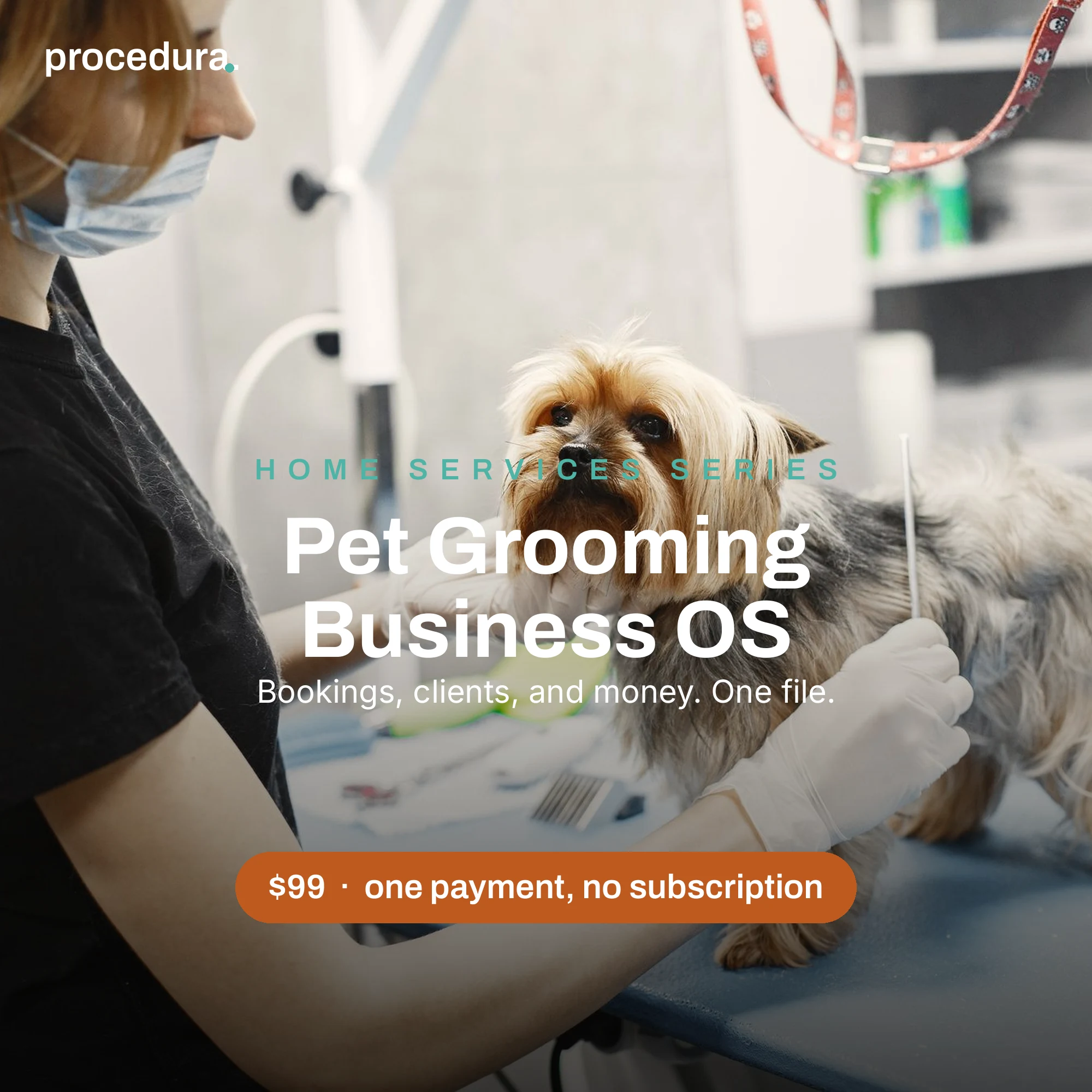 Pet Grooming Business OS: ten-tab spreadsheet operating system preview