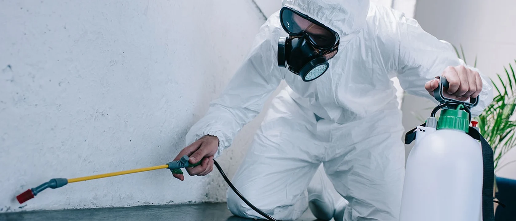 Pest control technician applying exterior perimeter treatment with a pump sprayer